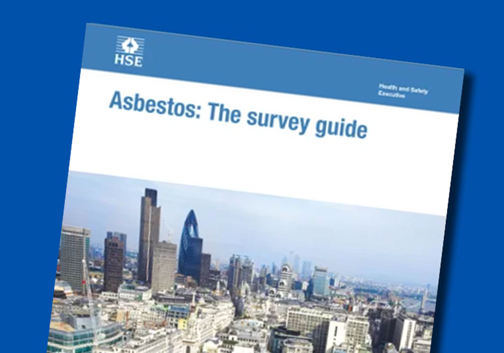 Asbestos The Survey Guide by HSE